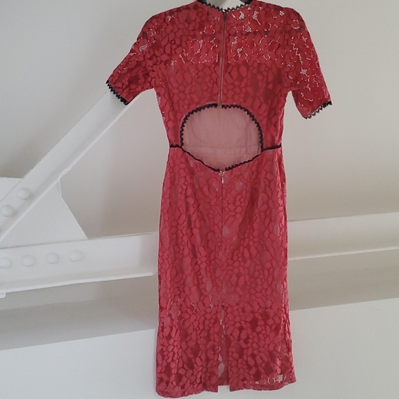 Stunning lace dress by Alexis - Picture 5 of 10